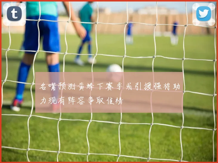 名嘴预测黄蜂下赛季或引援强将助力现有阵容争取佳绩